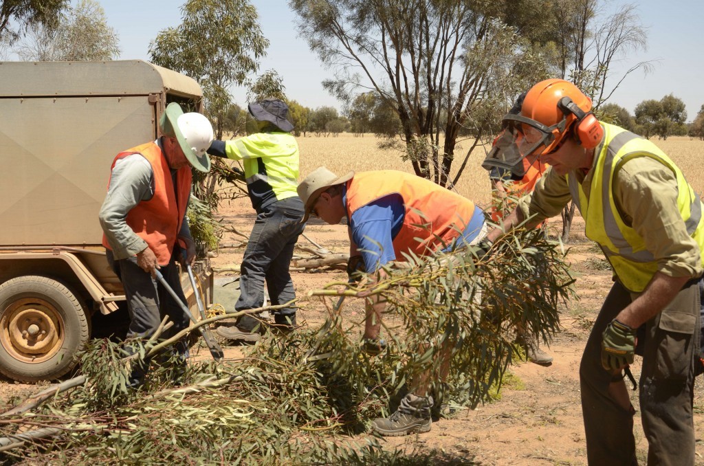 People cutting up trees and mulching to assess carbon storage