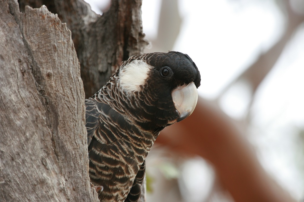 Photo by Rick Dawson