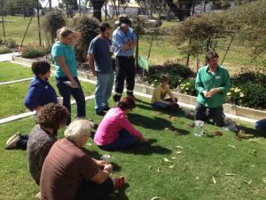 Chris is helping small lifestyle blockers to visually assess a range of soil types