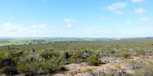 heathlands