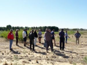 Local farmers inspired by trial field day