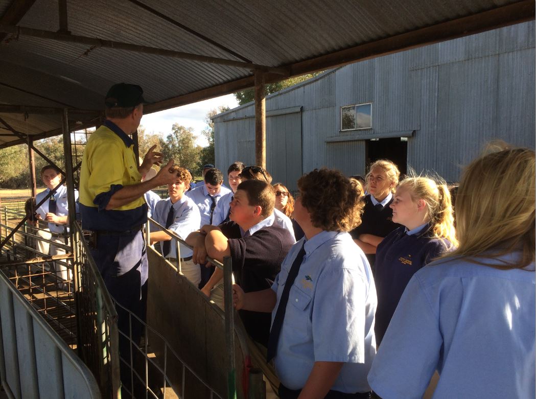 WA Ag College Student