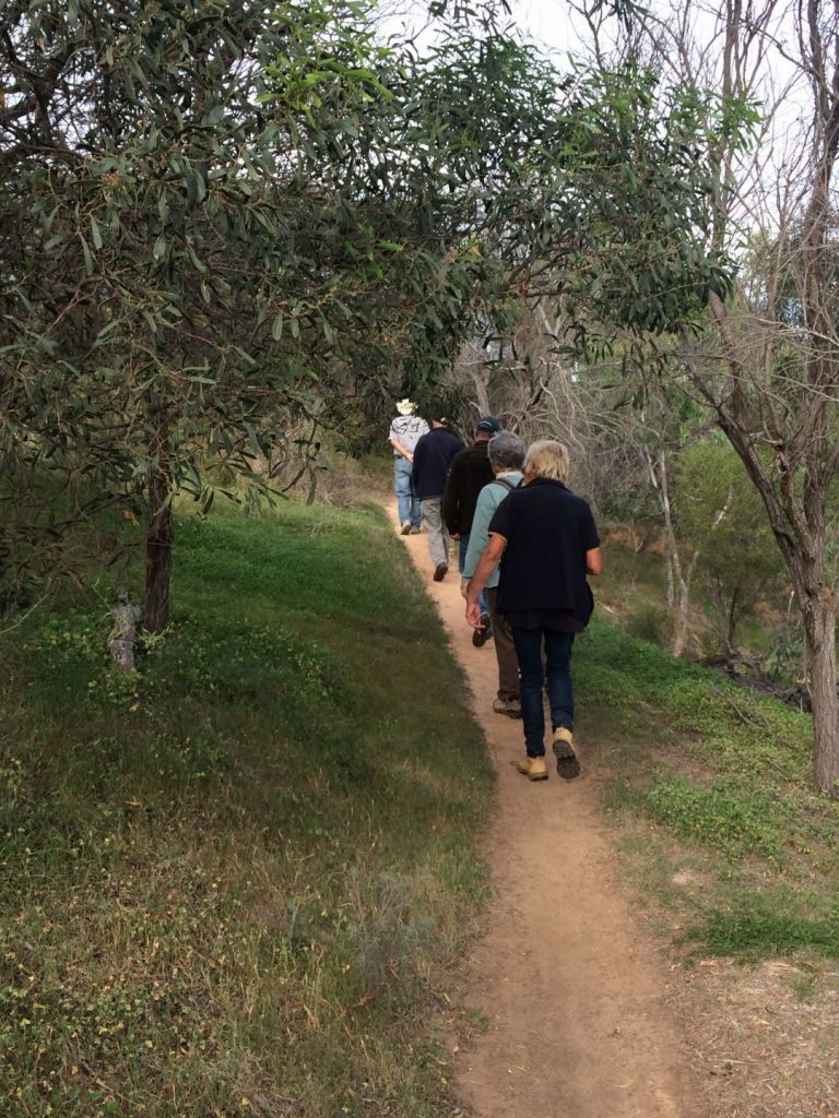 Chapman River Walk