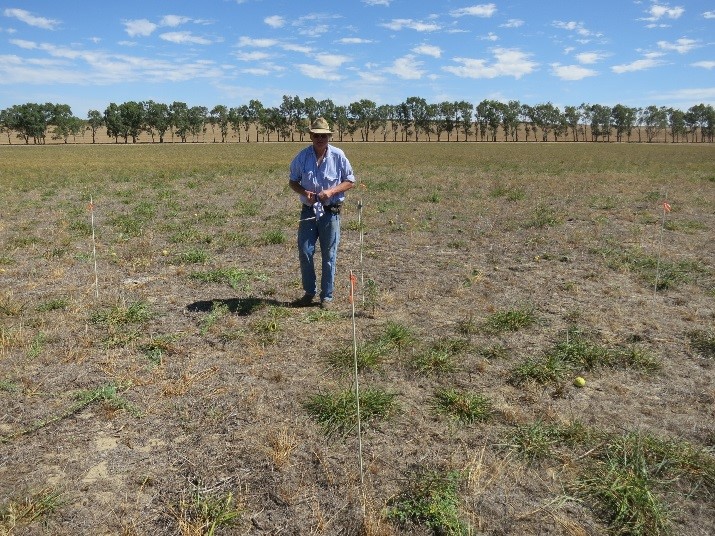 Producer Grant Bain marking out his demonstration site for Ever Green project. Photo Credit Phil Barrett-Lennard.
