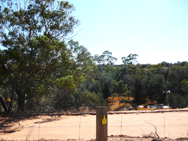Funding from the Australian Government has seen a significant improvement in the Mid West's rivers and wetlands systems.