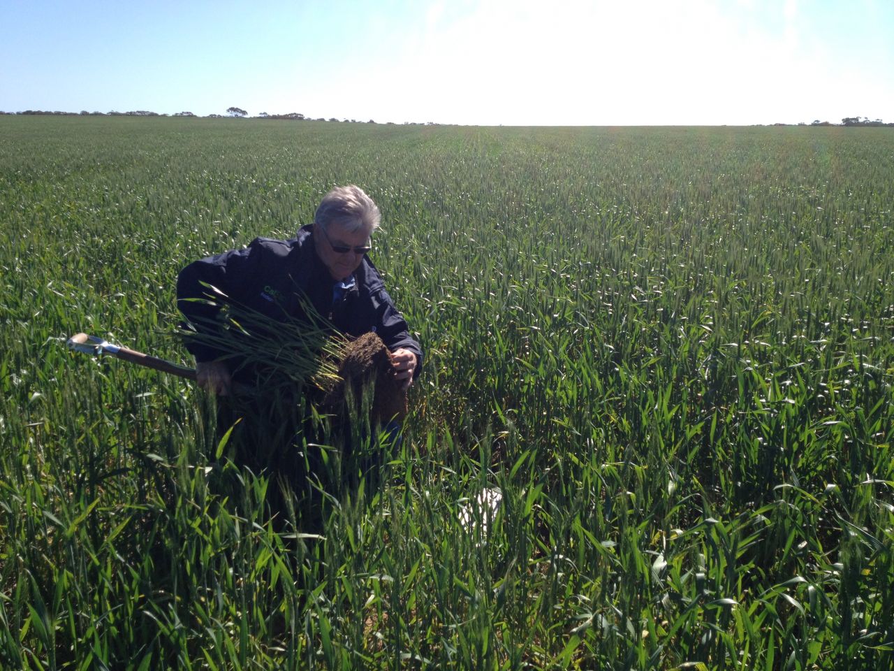 Stuart McAlpine NAR Soil Health Champion 2015