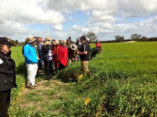 soil health
