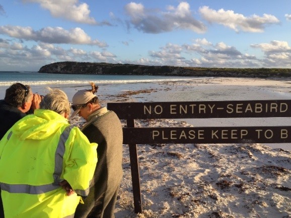 Undertaking Fairy Tern (Sternula nereis) survey at Wedge Island in October, note sand build up creating a spit, connecting the mainland to the island. Picture: Philippa Schmucker