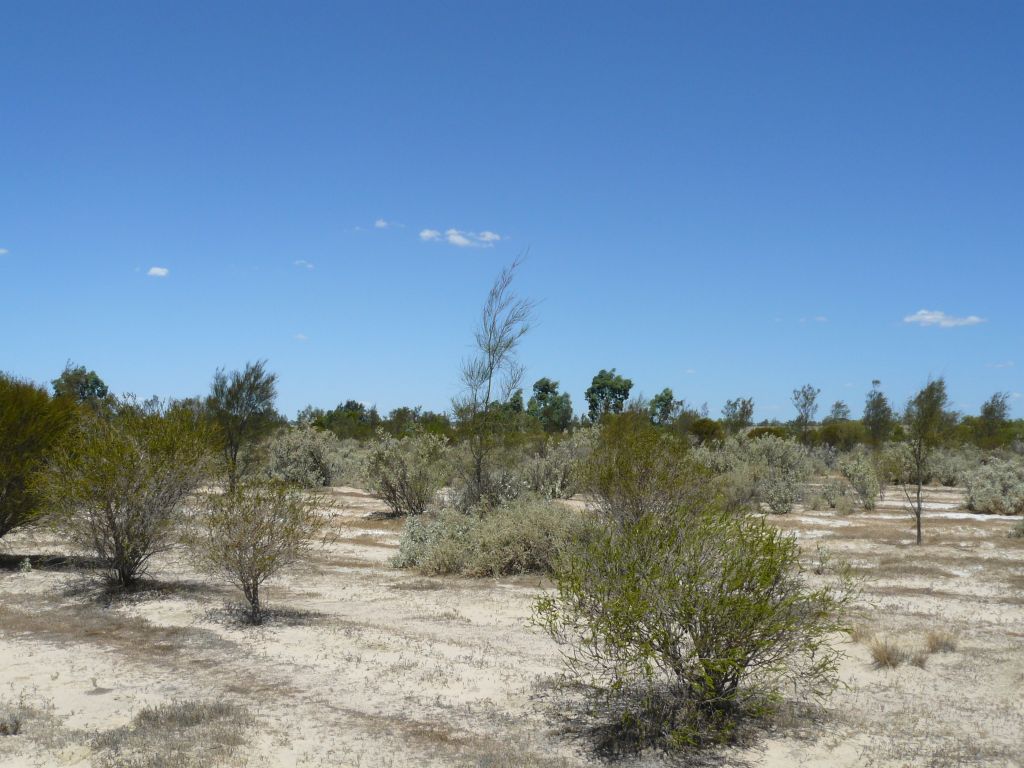 EVA Site 1 28-02-13 (15)