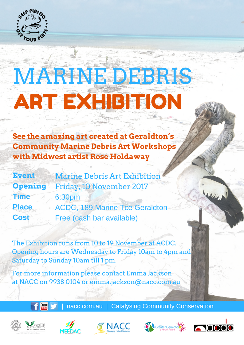 2017 Marine Debris Art Exhibition flyer